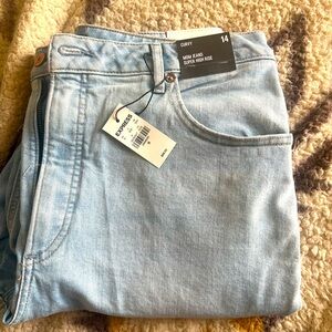 New Express, curvy fit, distressed